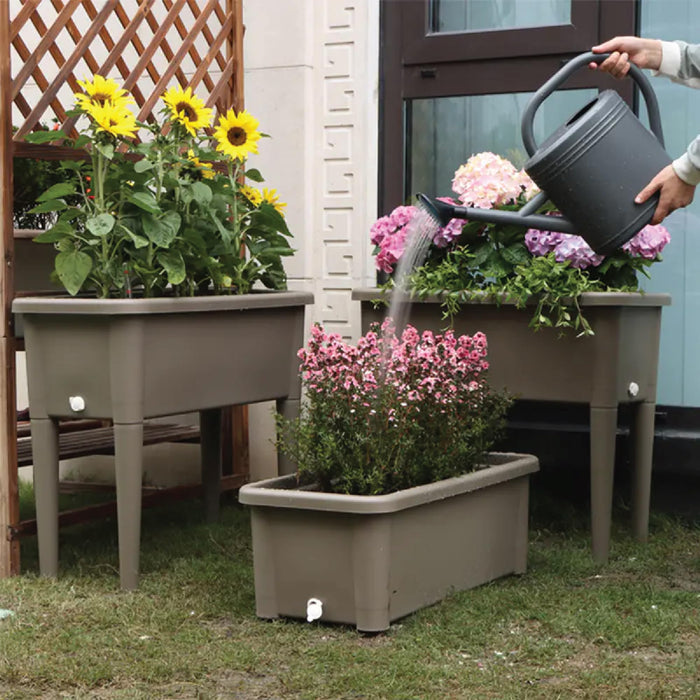 13.2 Gallon Self Watering Raised Garden Bed with or Without Transparent Ventilation Lid Greenhouse, Planter Box with Legs for Indoor/Outdoor Use, Ideal for Herbs & Vegetables (Coffee, Without Lid)