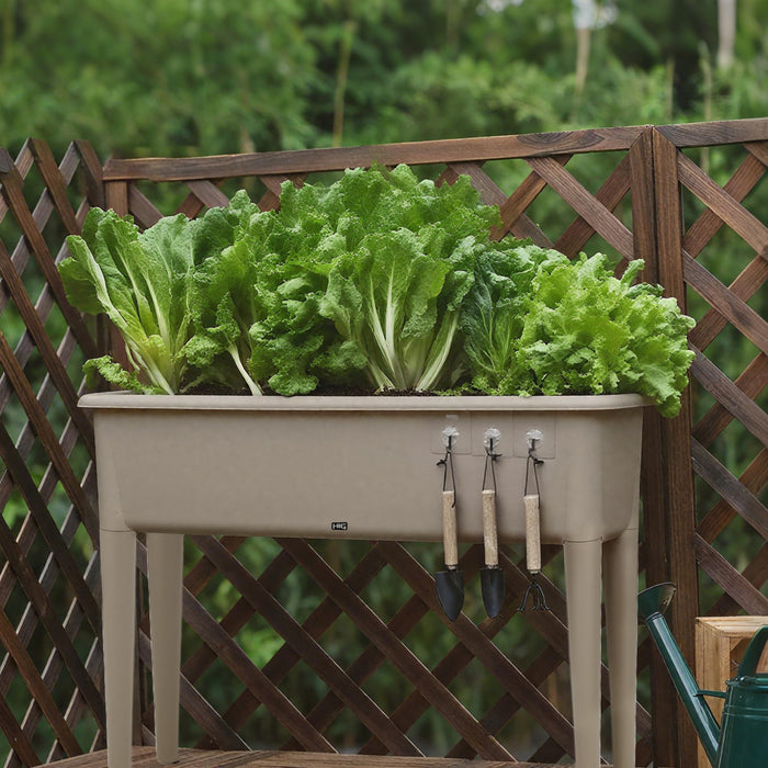 13.2 Gallon Self Watering Raised Garden Bed with or Without Transparent Ventilation Lid Greenhouse, Planter Box with Legs for Indoor/Outdoor Use, Ideal for Herbs & Vegetables (Coffee, Without Lid)