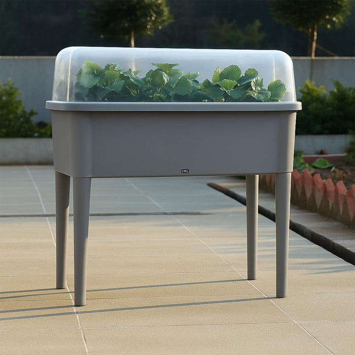 13.2 Gallon Self Watering Raised Garden Bed with or without transparent Ventilation Lid greenhouse, Planter Box with Legs for Indoor/Outdoor Use, Ideal for Herbs & Vegetables (GREY, with Lid) 36106.