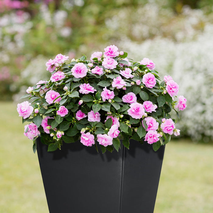 Tall Black Planter 30 Inch Modern Tapered Square Flower Pot for Indoor & Outdoor Use, Durable Plastic, Weatherproof & UV Resistant with Drainage Hole, Large Decorative Plant Container 87295