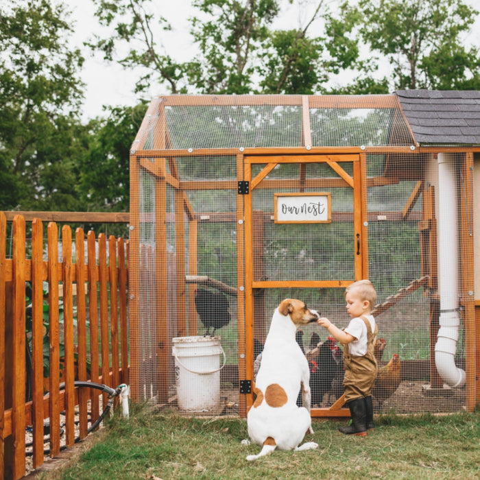 Hardware Cloth 1/2 inch 48in x 100 ft, 19 Gauge Square, Chicken Coop Wire Fence, Garden Plant Welded Metal Wire Fencing Roll Mesh, Poultry Animal Netting Cage Screen