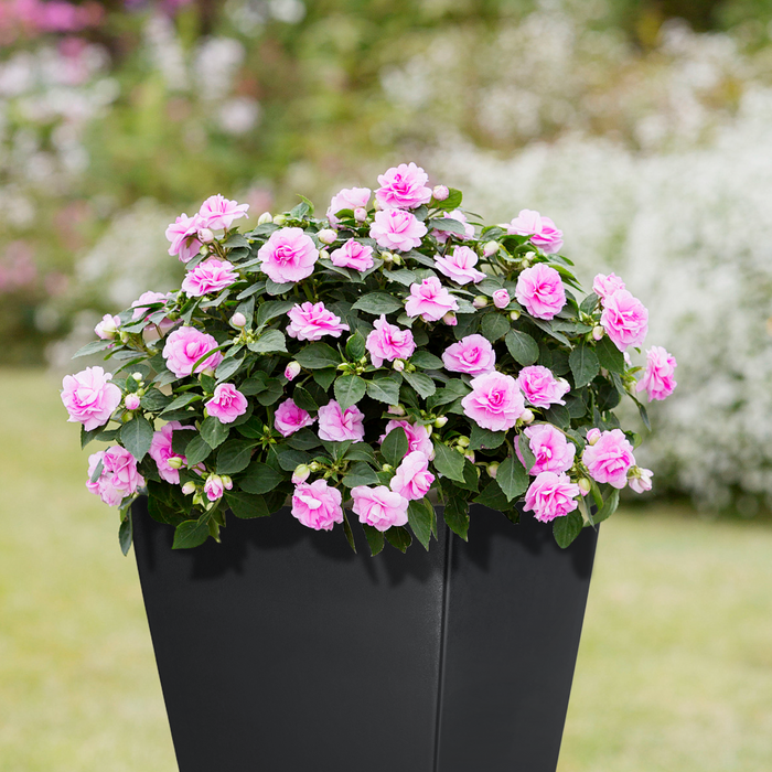 HIG 30-Inch Tall Black Planter – Modern Tapered Square Flower Pot for Indoor & Outdoor Use, Durable Plastic, Weatherproof & UV Resistant with Drainage Hole, Large Decorative Plant Container